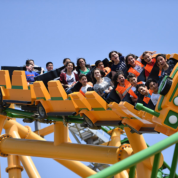 Viaport All Day Fun Tour